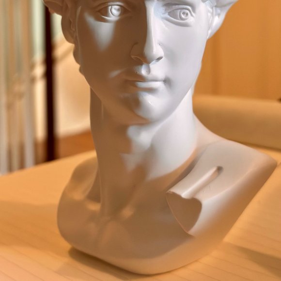 Michelangelo's David Bust - Picture 4 of 16